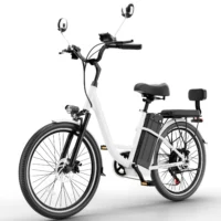 DDC CS20 500W Electric Cruiser Bike – 48V/20Ah Battery, 24" Step-Through E-Bike for Adults with Rear Rack, Back Mirror & 22MPH Top Speed