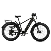 XPeak 2.0 High-Step eBike